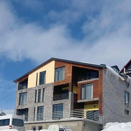 Dandelion Hotel Gudauri Ganisi エクステリア 写真