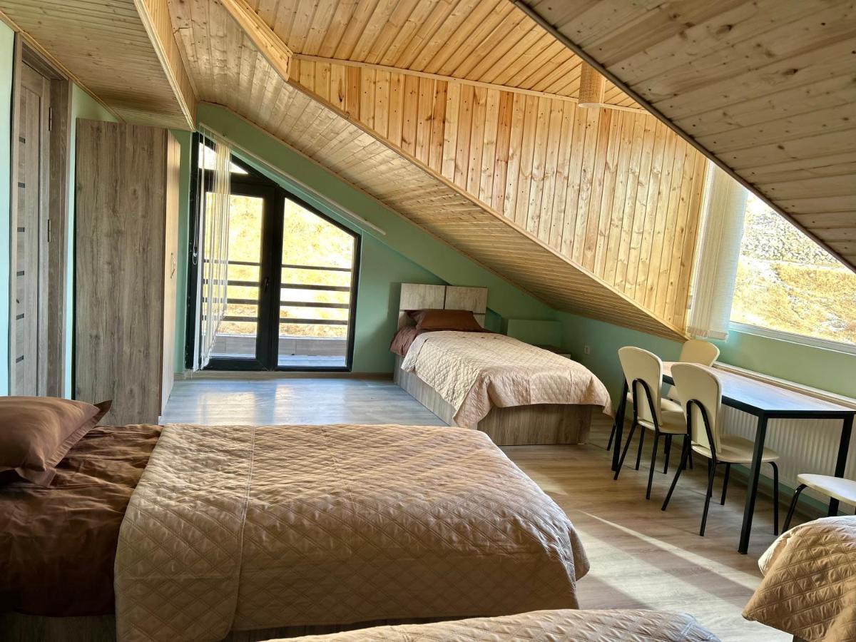 Dandelion Hotel Gudauri Ganisi エクステリア 写真