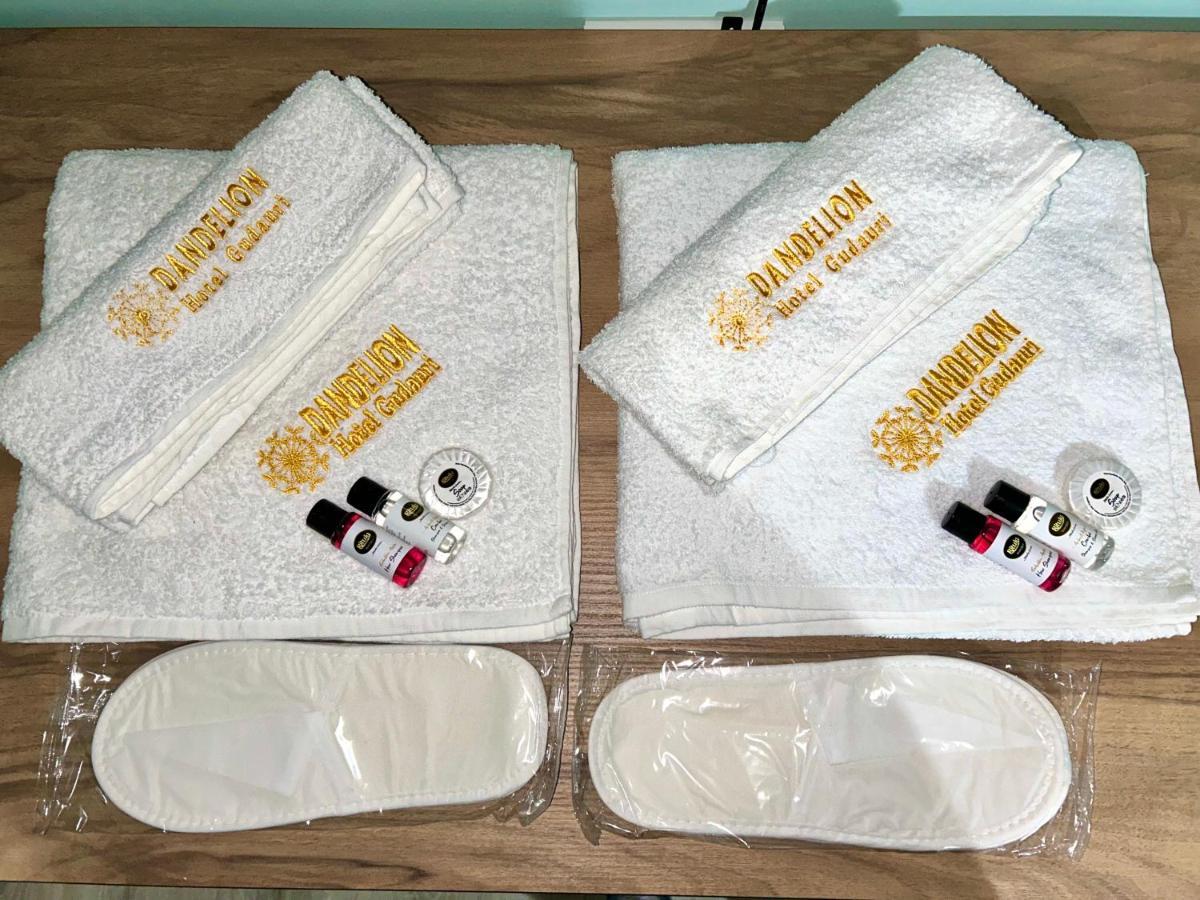Dandelion Hotel Gudauri Ganisi エクステリア 写真